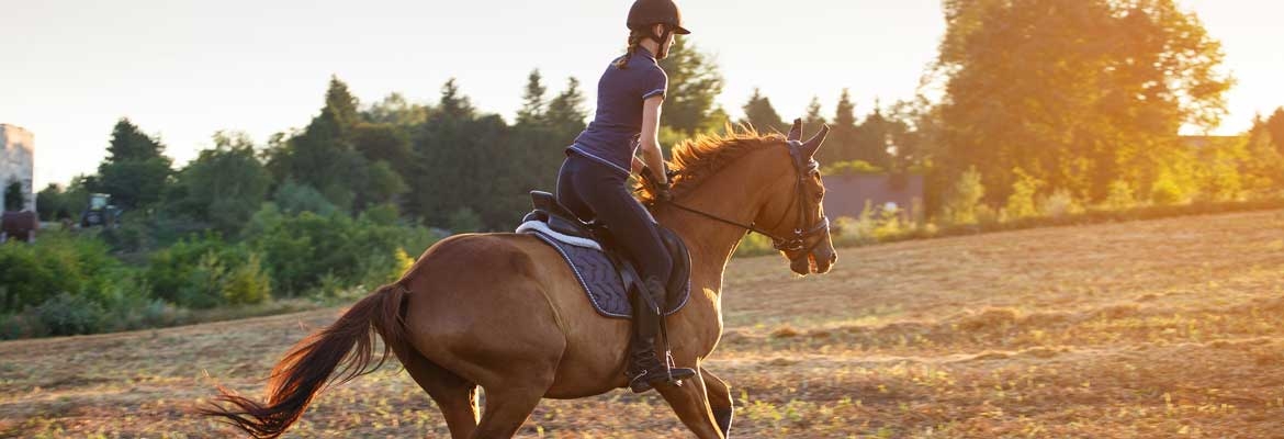 Assurance de prêt immobilier pour équitation : tout ce qu’il faut savoir