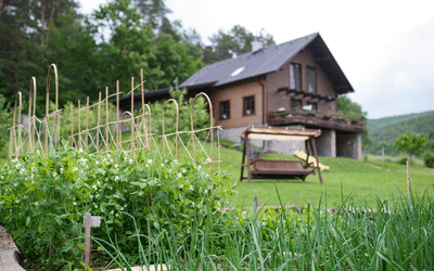 Immobilier 2026 : pourquoi des millions de Français font de la nature un critère clé pour acheter