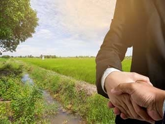 Vendre une partie de son terrain : mode d’emploi