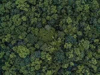 Achat Immobilier : les principales mesures de la loi Climat